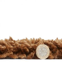 a close up of a stuffed animal on a white background with a coin in the middle