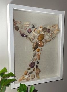 a white frame with shells in it and a plant next to it on a table