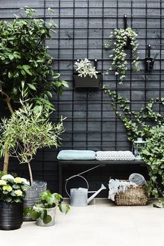 an outdoor bench surrounded by potted plants and other greenery in front of a black wall