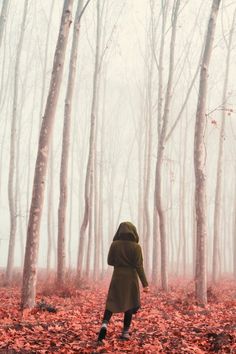 a person in a hooded jacket walking through a forest with red leaves on the ground