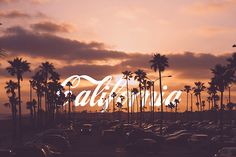 a parking lot filled with lots of palm trees and parked cars under a cloudy sky