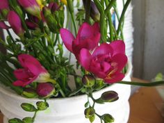 pink flowers in a white vase on a table