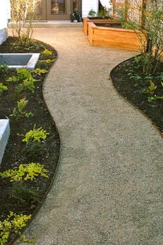 a walkway leading to the front door of a house with plants growing on either side