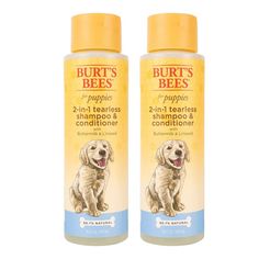 Burt's Bees for Dogs Natural Tearless 2 In 1 Dog Shampoo & Conditioner with Buttermilk and Linseed Oil | Gentle & Safe for Puppies | pH Balanced for Puppies - Made in USA, 16 Oz - 2 Pack Puppy Shampoo, Dog Soap, Bee Dog, Dog Conditioner, Puppy Portraits, Good Shampoo And Conditioner, Dog Smells