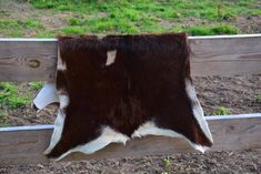 a cow's fur hanging on the side of a wooden fence