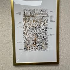 a framed drawing on the wall in front of a white wall with gold trimming