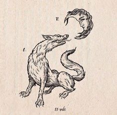 Woodcut Fox Tattoo, Open Chest Drawing, Wolf Etching, Cryptid Tattoo, Medieval Animals, Vietnam Tattoo