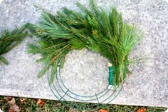 some green plants are laying on the ground and ready to be used as decorations for christmas