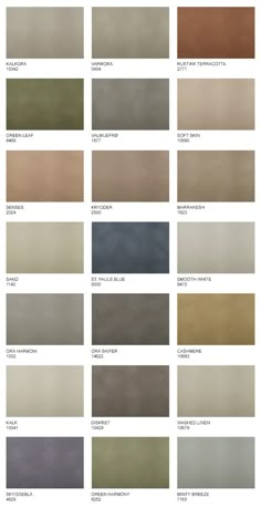 the different shades of paint that are used in this painting project, including neutrals and browns