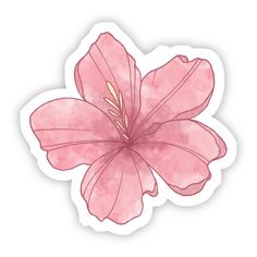 a pink flower sticker with watercolor paint on the back and bottom half of it