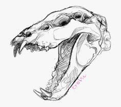 a drawing of an animal's head with its mouth open