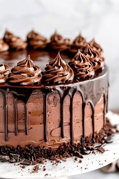 a chocolate cake with frosting on a white plate