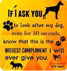 a yellow sign that says if i ask you to look after my dog even for 30 seconds, know that this is the biggest compliment i will ever give you