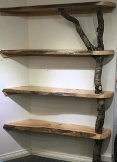 three wooden shelves with tree branches on them