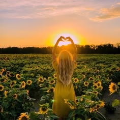 a woman standing in the middle of a sunflower field with her hands up to her heart