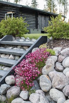 flowers and rocks are growing on the side of some steps in front of a log cabin