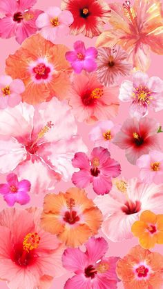 many different colored flowers on a pink background