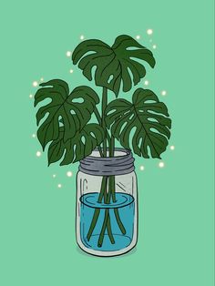 a plant in a jar with water inside