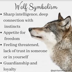 a wolf with its head turned to the side and words below it that say wolf symbolism