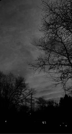 a black and white photo of trees with no leaves in the dark sky, on a gloomy day