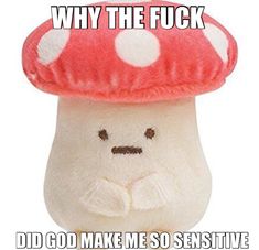 a stuffed mushroom with the caption why the fock did god make me so seductive?