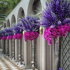 purple flowers in silver vases lined up against a wall