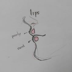 a drawing of a woman's body with the words lips and pointy round on it