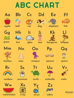 an alphabet poster with different types of letters and numbers on it, including the letter s