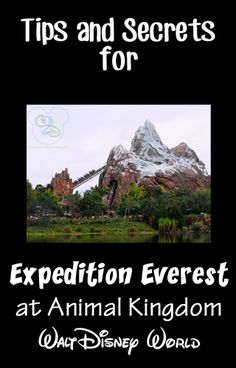 an animal kingdom sign with the words tips and secrets for expedition everest at disney world