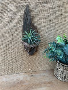 two plants are sitting on the back of a couch next to a wall mounted planter