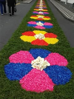 colorful flowers are arranged on the grass in rows