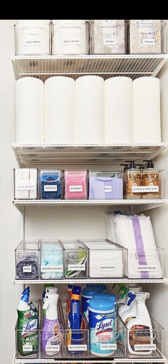 an organized pantry with lots of cleaning supplies