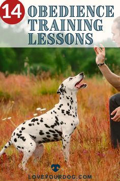 a man kneeling down next to a dalmatian dog on top of a field