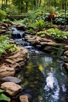 a small stream running through a lush green forest filled with lots of plants and rocks