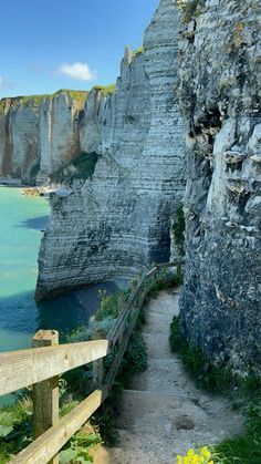 a wooden walkway leading to the beach next to some cliffs and blue water with yellow flowers growing on it