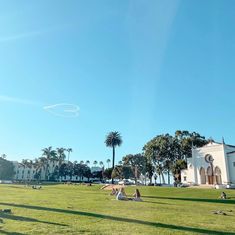 people sitting on the grass in front of a building and palm trees with a kite flying overhead