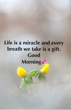 a yellow flower with the words life is a miracle and every breath we take is a gift good morning