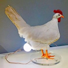 a white chicken standing on top of a glass plate with a light in it's beak