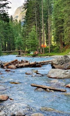 a river running through a forest filled with lots of rocks and trees in the background