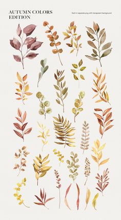 an image of autumn colors in watercolor and ink on paper with the words autumn colors written