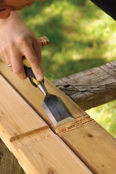 a person using a knife to cut wood on a bench with a tree in the background