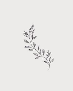 Henne Tattoo, Arte Doodle, Plant Tattoo, Dainty Tattoos, Elegant Tattoos, Little Tattoos, Simplistic Tattoos