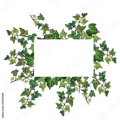 green ivy leaves with a white paper in the middle