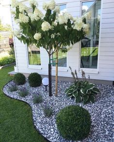 an image of a house with flowers in the front yard and landscaping on the other side