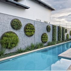 an outdoor swimming pool with plants growing on the wall