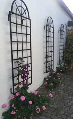 some pink flowers are growing on the side of a white building with black iron windows