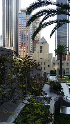 the city skyline is seen through tall buildings