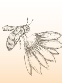 a drawing of a bee sitting on top of a flower next to an insect's wing