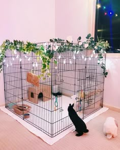 a cat sitting in front of a cage with plants growing out of it and another cat standing next to the cage