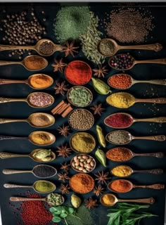 spoons filled with different kinds of spices